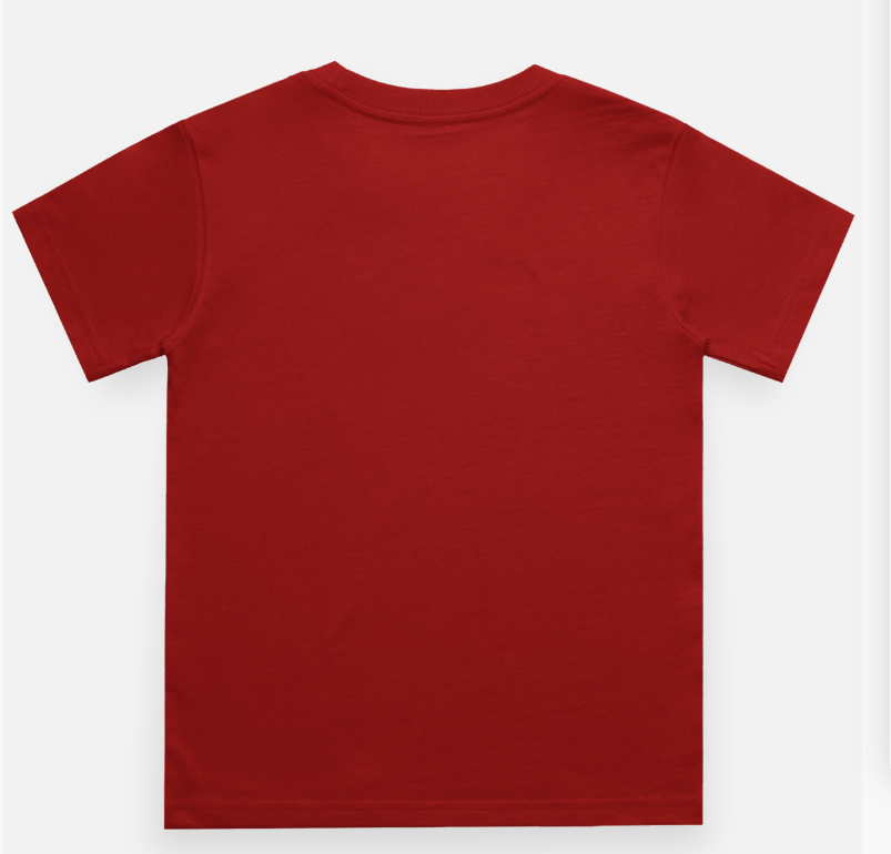 Little Princes Kids Printed T Shirt Pure Cotton